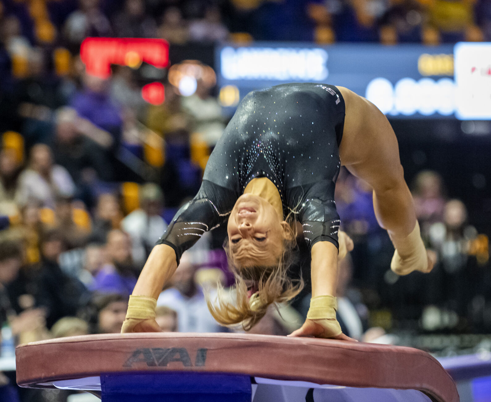 BR.lsugym.012123_007 MJ.JPG